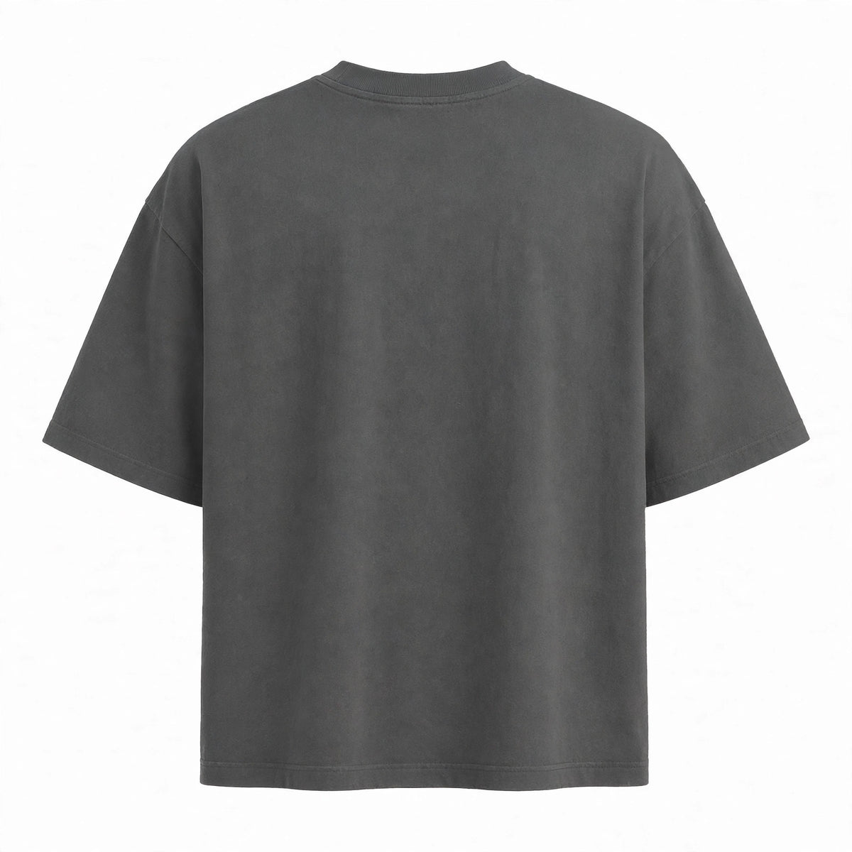 Back view of shadow Fronda oversized tee flat lay
